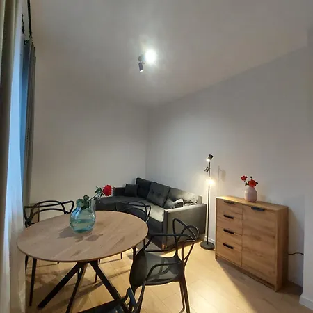 Apartament Aleja 29 Listopada-3